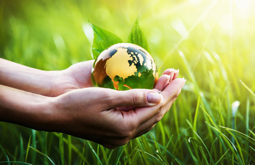 green sustainability