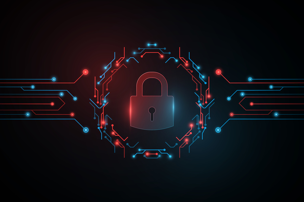 cyber crime