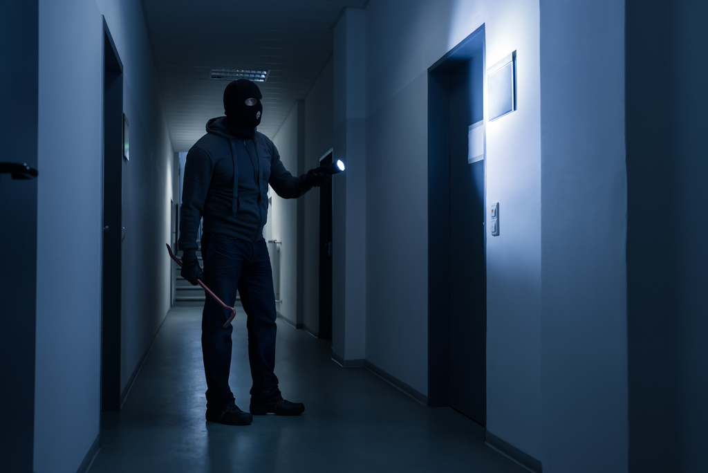 intruder